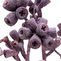Article Branche d'eucalyptus mûre givrée 25 pcs
