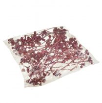 Article Branches d'eucalyptus rouges givrées décoration naturelle exotique 25 pièces