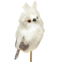 Article Chouette sur la canne blanche 9cm L48cm