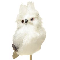 Article Chouette sur la canne blanche 9cm L48cm