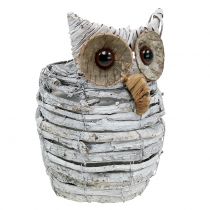 Hibou de plantation blanc 23cm