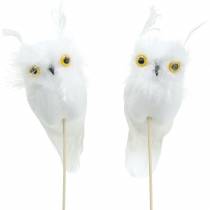 Décoration de bouquet Owl White 10cm 2pcs