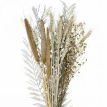 Coffret DIY Fleurs Séchées Bouquet Sec Exotique Blanc, Naturel H55cm