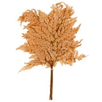 Article Fougère orange séchée décorative, 45 cm, lot de 10, pour la décoration intérieure à faire soi-même