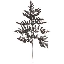 Article Décoration de fougère Vraies frondes de fougère noires préservées 45 cm 10 pièces