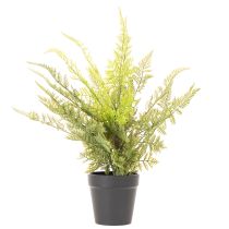 Article Plante artificielle fougère en pot 40 cm pour décoration intérieure