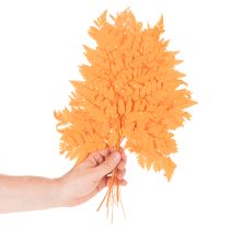 Article Fougères séchées conservées orange 42 cm 10 pièces décoration automnale