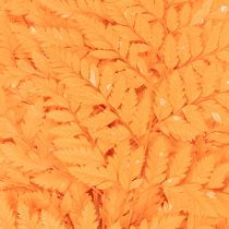 Article Fougères séchées conservées orange 42 cm 10 pièces décoration automnale