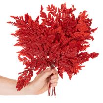 Article Rameaux de fougère conservée rouge 42 cm lot de 10