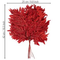 Article Rameaux de fougère conservée rouge 42 cm lot de 10