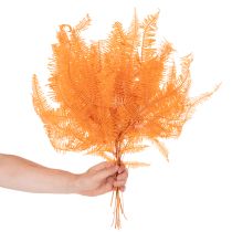 Article Brin de fougère conservé orange 60 cm set de 10 pour décorations