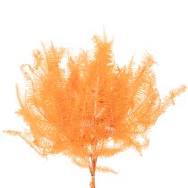 Article Brin de fougère conservé orange 60 cm set de 10 pour décorations