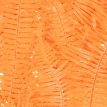 Article Brin de fougère conservé orange 60 cm set de 10 pour décorations