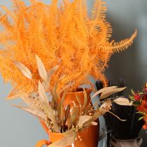 Article Brin de fougère conservé orange 60 cm set de 10 pour décorations
