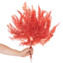 Article Fougère conservée rouge 60 cm 10 pièces