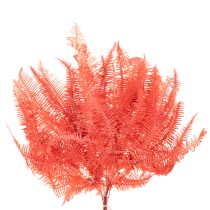 Article Fougère conservée rouge 60 cm 10 pièces