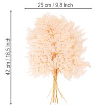 Article Fougère séchée décorative pour vase 42 cm rose 10 pièces