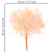 Article Fougères séchées pour décoration intérieure 60 cm rose pâle x10