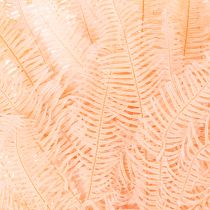 Article Fougères séchées pour décoration intérieure 60 cm rose pâle x10