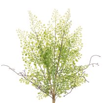 Article Branche artificielle de ruscus vert 41 cm pour décoration florale