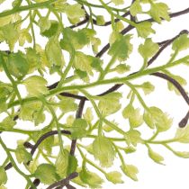 Article Branche artificielle de ruscus vert 41 cm pour décoration florale