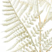Fougère feuille décorative, plante artificielle, branche de fougère, feuille de fougère décorative blanche L59cm