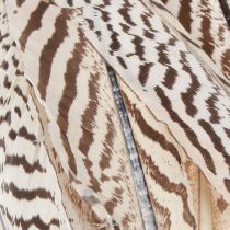 Article Plumes de faisan pour travaux manuels marron beige naturel 20cm 20pcs