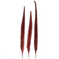 Article Plumes de Faisan Rouge Vraies Plumes Décoration Vin Rouge 35-45cm 9 pcs