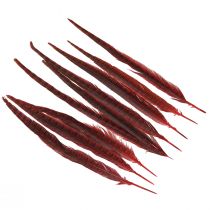 Article Plumes de Faisan Rouge Vraies Plumes Décoration Vin Rouge 35-45cm 9 pcs