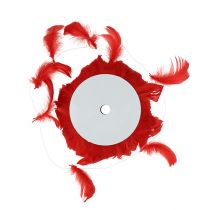 Plumes sur fil Rouge 10m