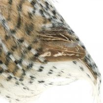 Article Chouette forêt, décoration automne, chouette déco, Halloween H16cm