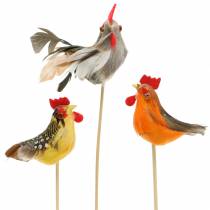 Coq avec de vraies plumes sur le bâton orange, jaune, marron assorti H5-6cm 12pcs