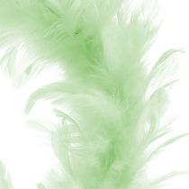 Couronne de plumes Vert clair Ø20cm 3pcs