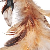 Article Couronne de plumes en plumes décoratives marron clair Ø20cm 3 pcs