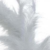 Couronne de Plumes Blanc Ø20cm Déco Couronne Printemps Vraies Plumes 3pcs