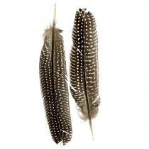 Plumes nature 16cm - 20cm 8g