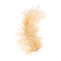 Article Plumes orange pour bricolage de printemps et de Pâques 5-10cm 20g