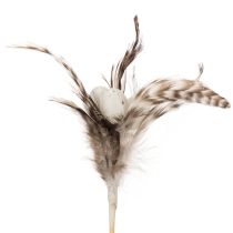 Article Branches décoratives en forme de plumes naturelles, 37 cm, lot de 12, pour une décoration de Pâques élégante.