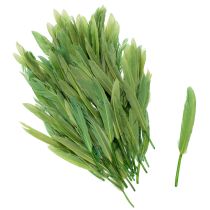 Article Plumes décoratives pour une ambiance élégante et une décoration impressionnante 10 cm