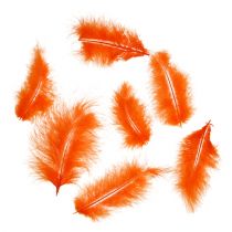 Article Plumes courtes 30g Orange