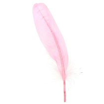 Article Plumes pour travaux manuels Plumes d&#39;oie rose 18cm - 20cm 20g x 2pcs