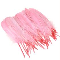 Article Plumes pour travaux manuels Plumes d'oie rose 18cm - 20cm 20g x 2pcs