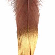 Plumes bordeaux, or 18-23cm 24pcs