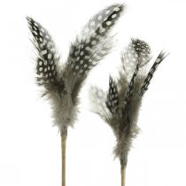 Article Plumes décoratives parsemées sur le bâton Véritables plumes de pintade 4-8cm 24 pcs