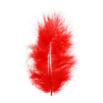 Article Plumes courtes 30g Rouge