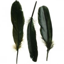 Plumes déco plumes d&#39;oiseau noir pour bricolage 14-17cm 20g