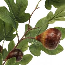 Branche de figuier, branche déco, déco fruits figues déco 79cm