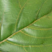 Article Ficus lyrata artificiel 120 cm en textile et plastique, vert, pour décoration intérieure