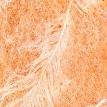 Article Ruban en feutre ruban de laine tissu décoratif plumes orange feutre de laine 15cm 5m