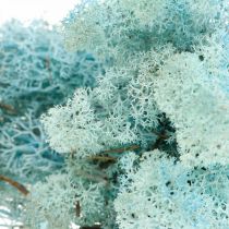 Mousse décorative mousse de renne bleu clair aigue-marine 400g